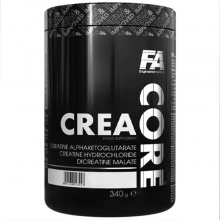 FA Nutrition Core Crea Creatine Hydrochloride 340 