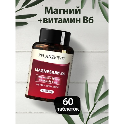  PFLANZERVIT Magnesium B6 60 